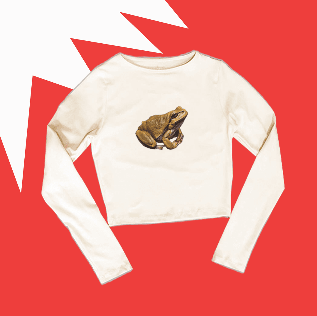 Remera manga larga crema estampada // SAPO